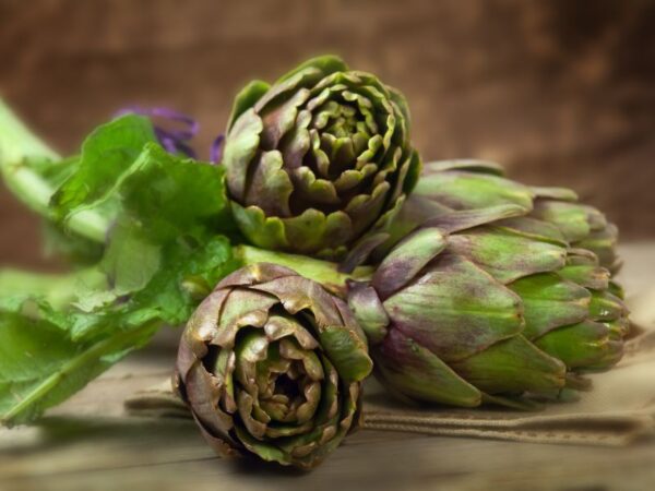 Coltivare Carciofi: Guida Completa dalla Preparazione del Terreno alla Raccolta